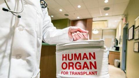 Brain dead woman's organs help save four lives Brain dead woman's organs help save four lives