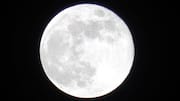 This autonomous system will make moving cargo on Moon easier