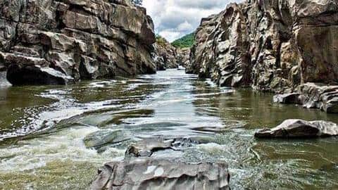 Karnataka hails NGT order closing proceedings against Mekedatu project Karnataka hails NGT order closing proceedings against Mekedatu project