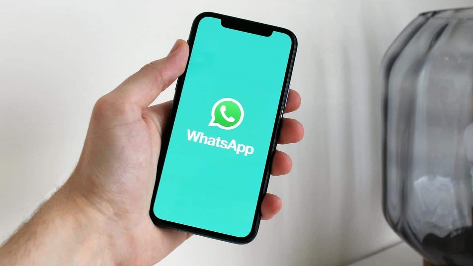 How to use WhatsApp's privacy check feature on iOS, Android