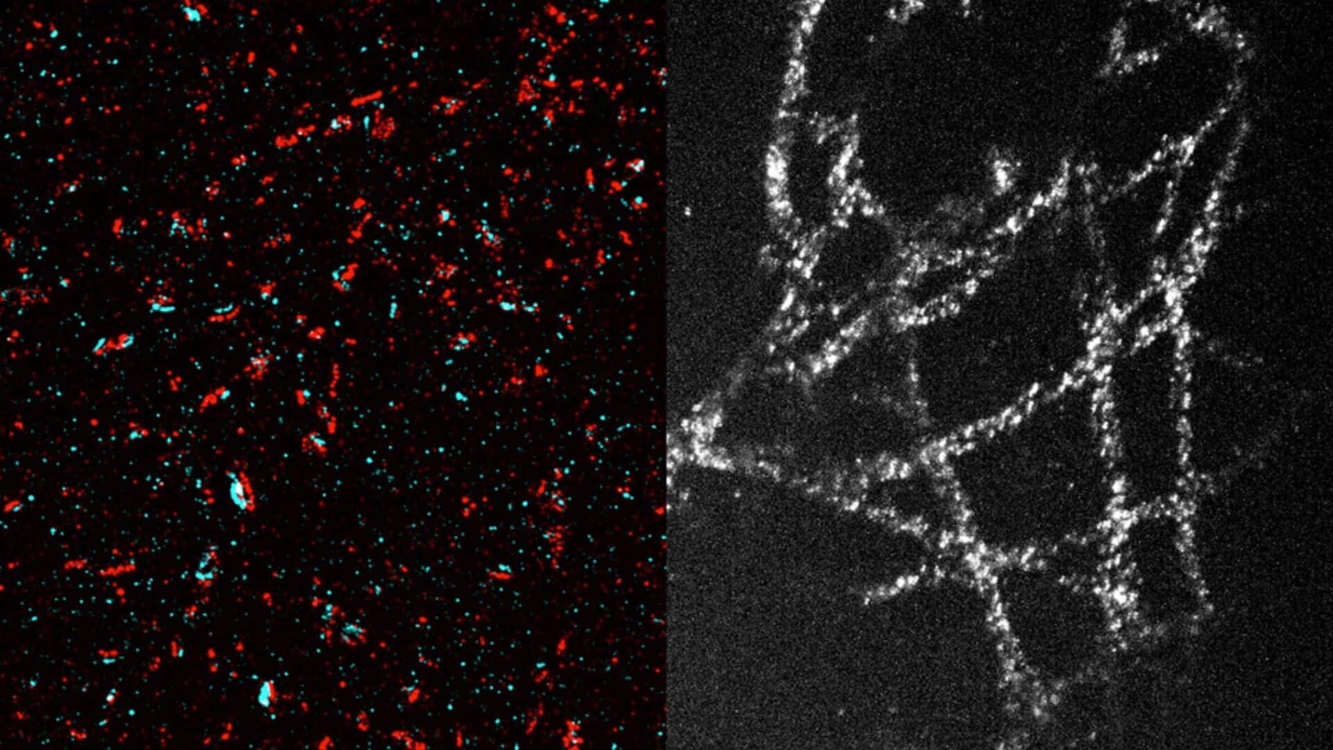 Breakthrough method allows nanoscale imaging with conventional microscopes