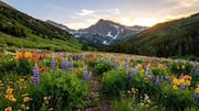 You must explore these scenic alpine meadows in Liechtenstein