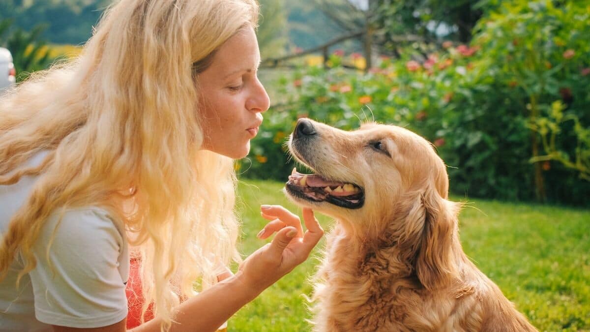 Do dogs really look like their owners? Study says so