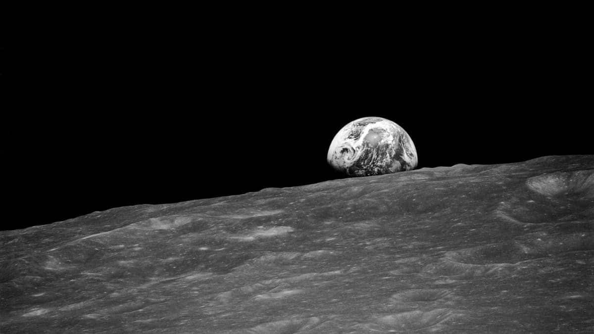 Moon might save over 1 million endangered Earth species