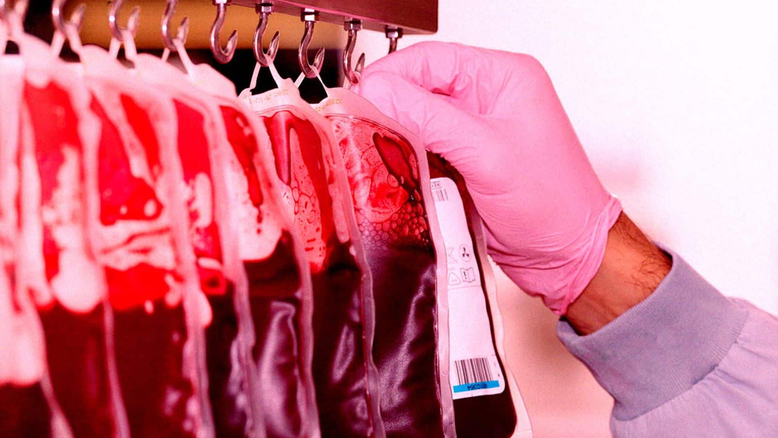 Revolutionary discovery! Bacteria converts blood to universal donor type
