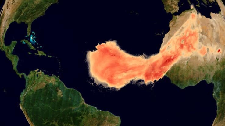 Sahara dust delivers vital minerals to marine life miles away