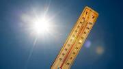 El Nino intensifying rapidly, could break records: UN agency 