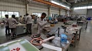 How digitalization improved MSME productivity in India: IMF study 