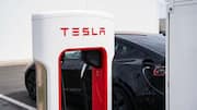 Tesla made $570M from SpaceX, xAI deals last year 