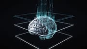 AI tools can erode critical thinking, experts warn