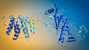 Apple introduces SimpleDesign, an AI model for protein design