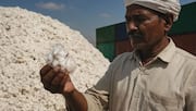 Government may remove 11% customs duty on raw cotton imports