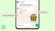 WhatsApp now lets users add role-based tags in group chats