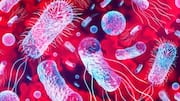 Superbugs could cost $2 trillion/year, kill millions by 2050