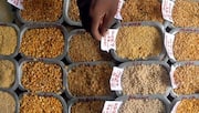 What drove India's wholesale inflation to a 42-month high