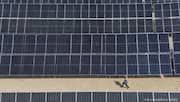 India to impose stricter penalties on renewable energy producers