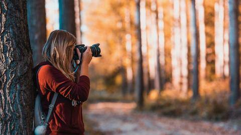 Best photo editing apps for that perfect picture Best photo editing apps for that perfect picture