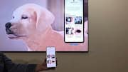Samsung's AI tool can spot pet health issues from photos