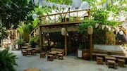 Outdoor party: Don't let the sun ruin your celebration