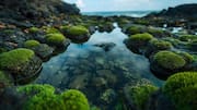 Australia's eastern coastline: Tide pools to explore