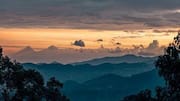Nyungwe Forest in Rwanda: A must-visit destination 