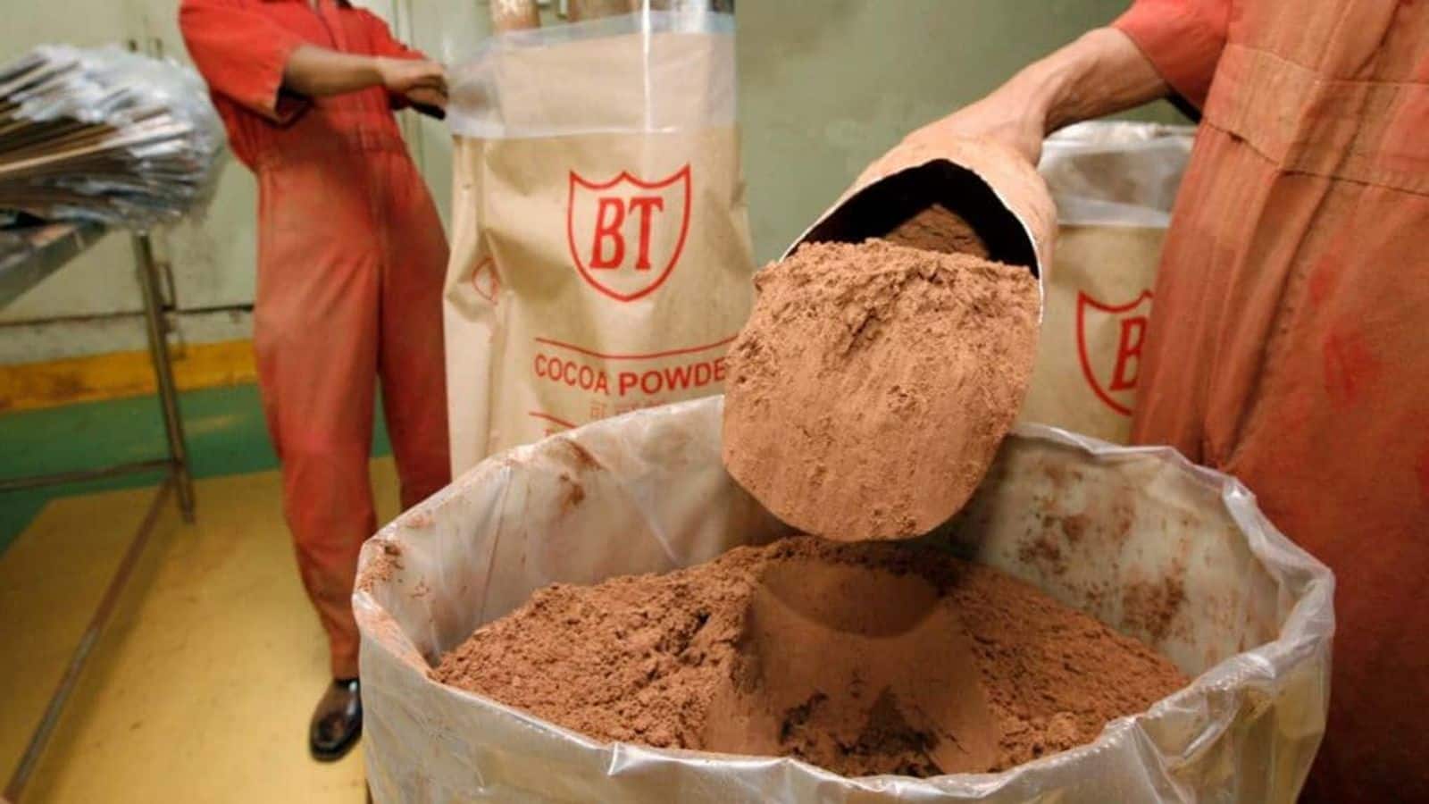 Why Asia's top grinder is struggling to source cocoa beans