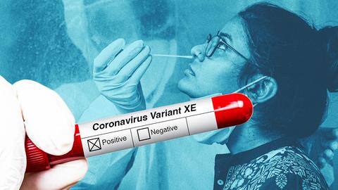 COVID-19 XE variant reported by Gujarat; detected in 67-year-old man COVID-19 XE variant reported by Gujarat; detected in 67-year-old man