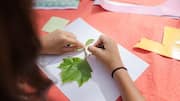 5 easy leaf tracing tips to reduce stress