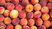 Easy homemade desserts using fresh peaches