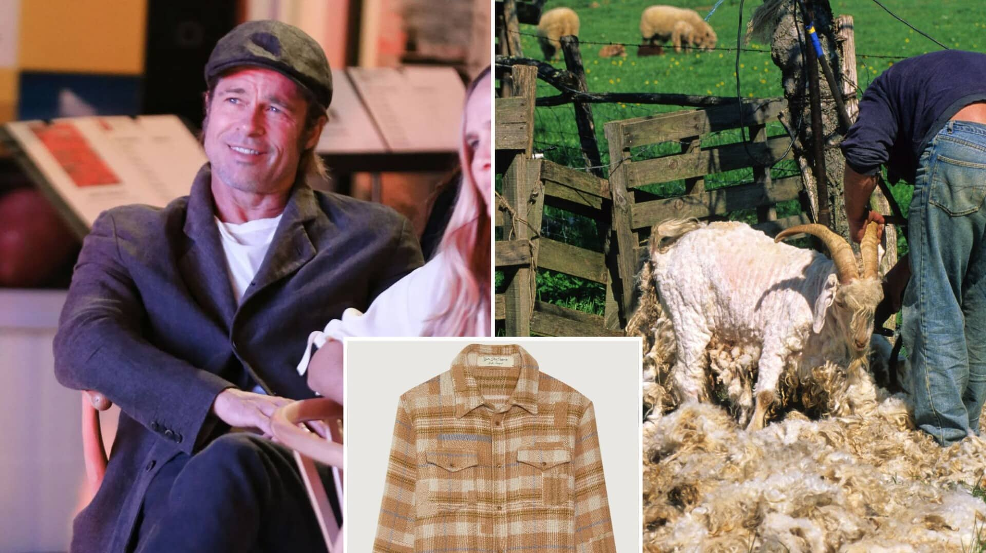 PETA challenges Brad Pitt's cashmere brand over 'responsibly sourced' claims