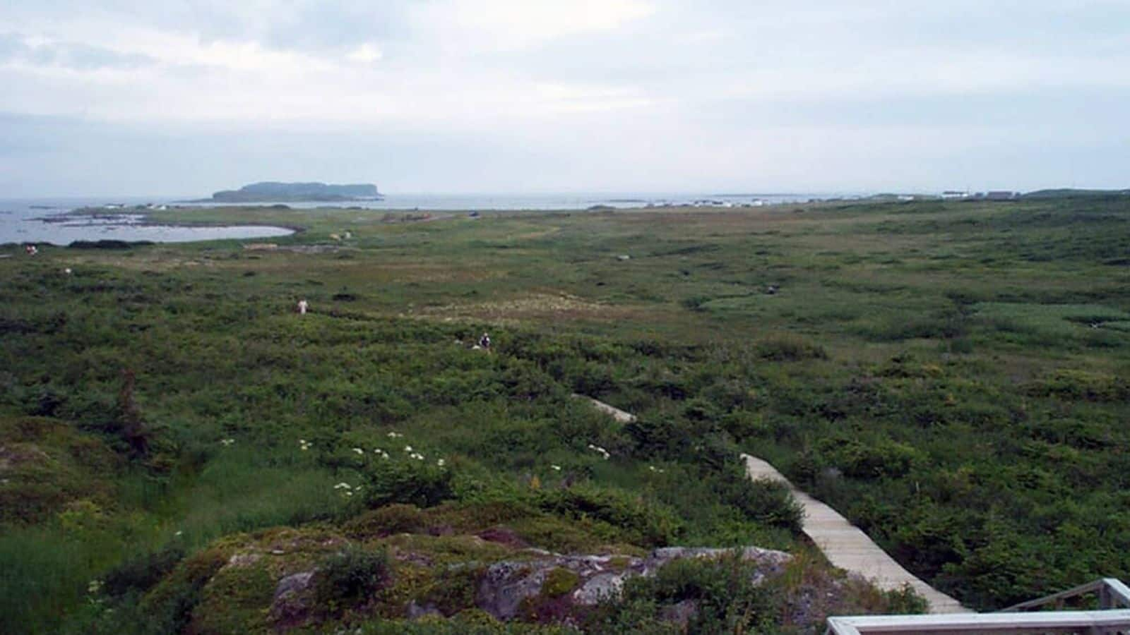 Explore the historic Viking Trail in Newfoundland, Canada