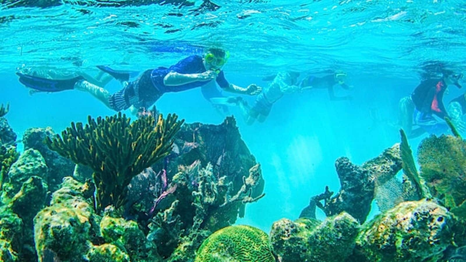 Dive into Belize's majestic barrier reef with these activities