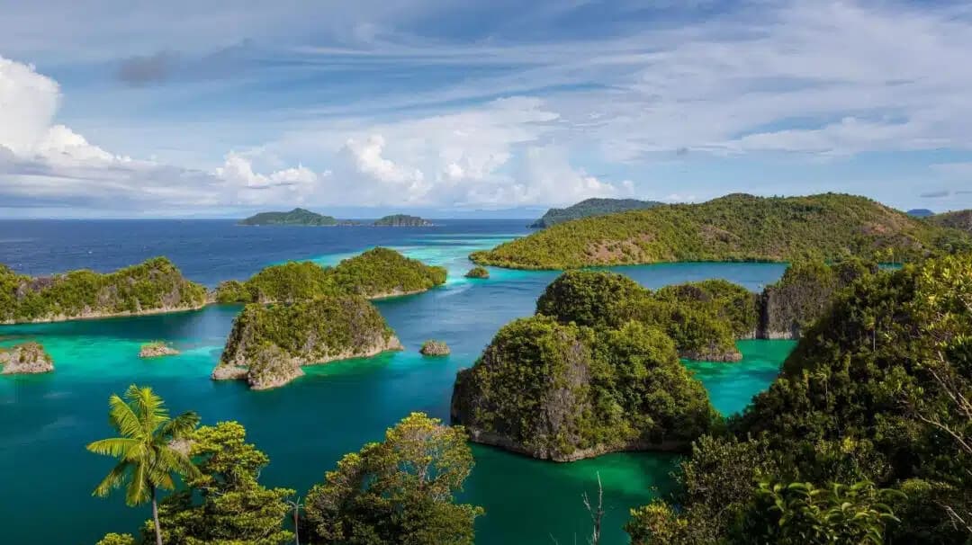 Raja Ampat Islands: Indonesia's hidden paradise