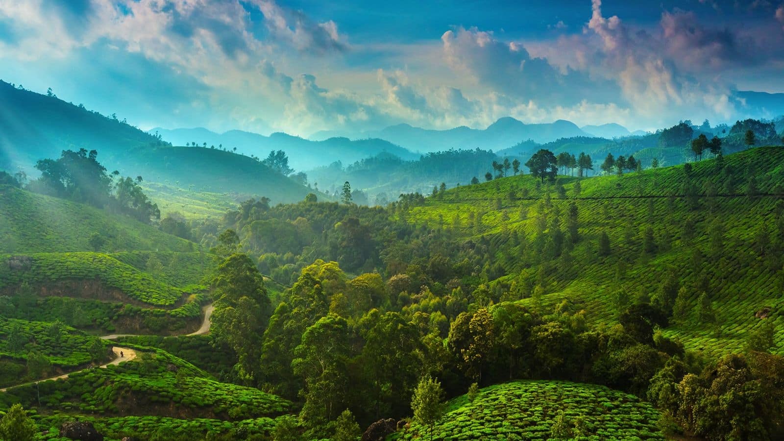 Munnar, India is a haven of tea gardens and serenity