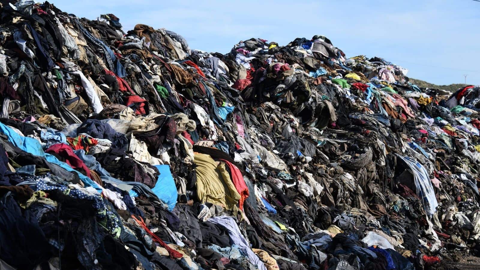 Embrace zero-waste fashion lifestyle: Here's how