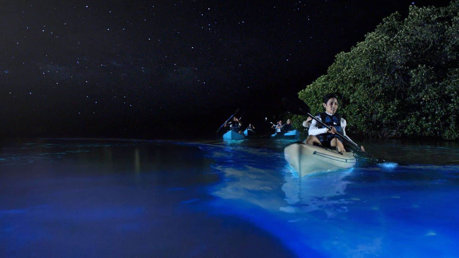 Head over to Vieques, Puerto Rico's bioluminescent bay