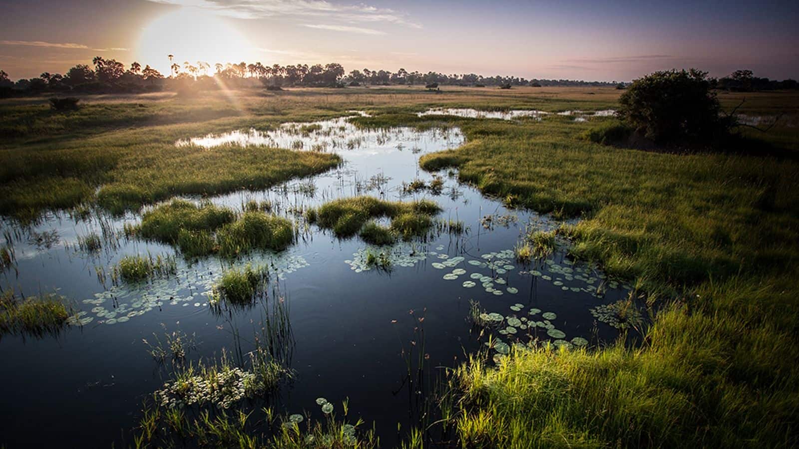 Unveiling the serenity of Okavango Delta, Botswana