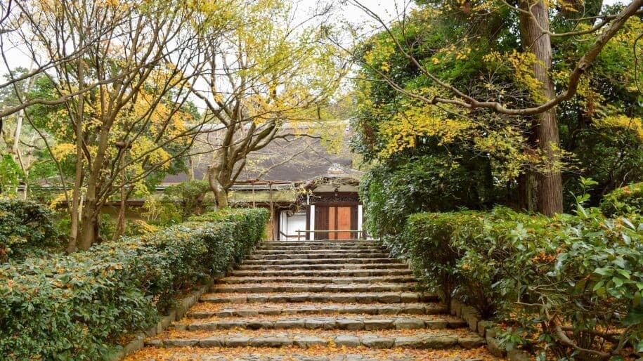 A cultural immersion itinerary to Kyoto