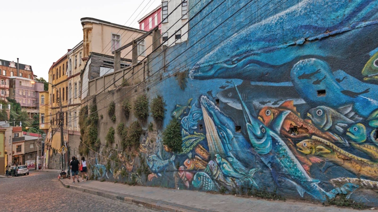 Valparaiso, Chile is a canvas of urban street art