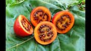 5 exciting recipes to try with tamarillo 