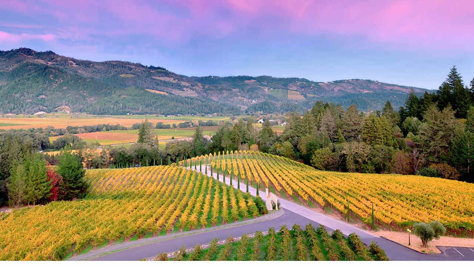 Unwind at Napa Valley's scenic vineyards and culture