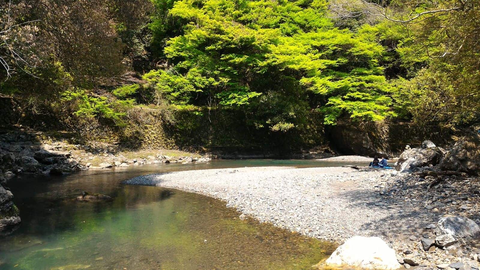 Discover Kyoto's secret waterfall trails