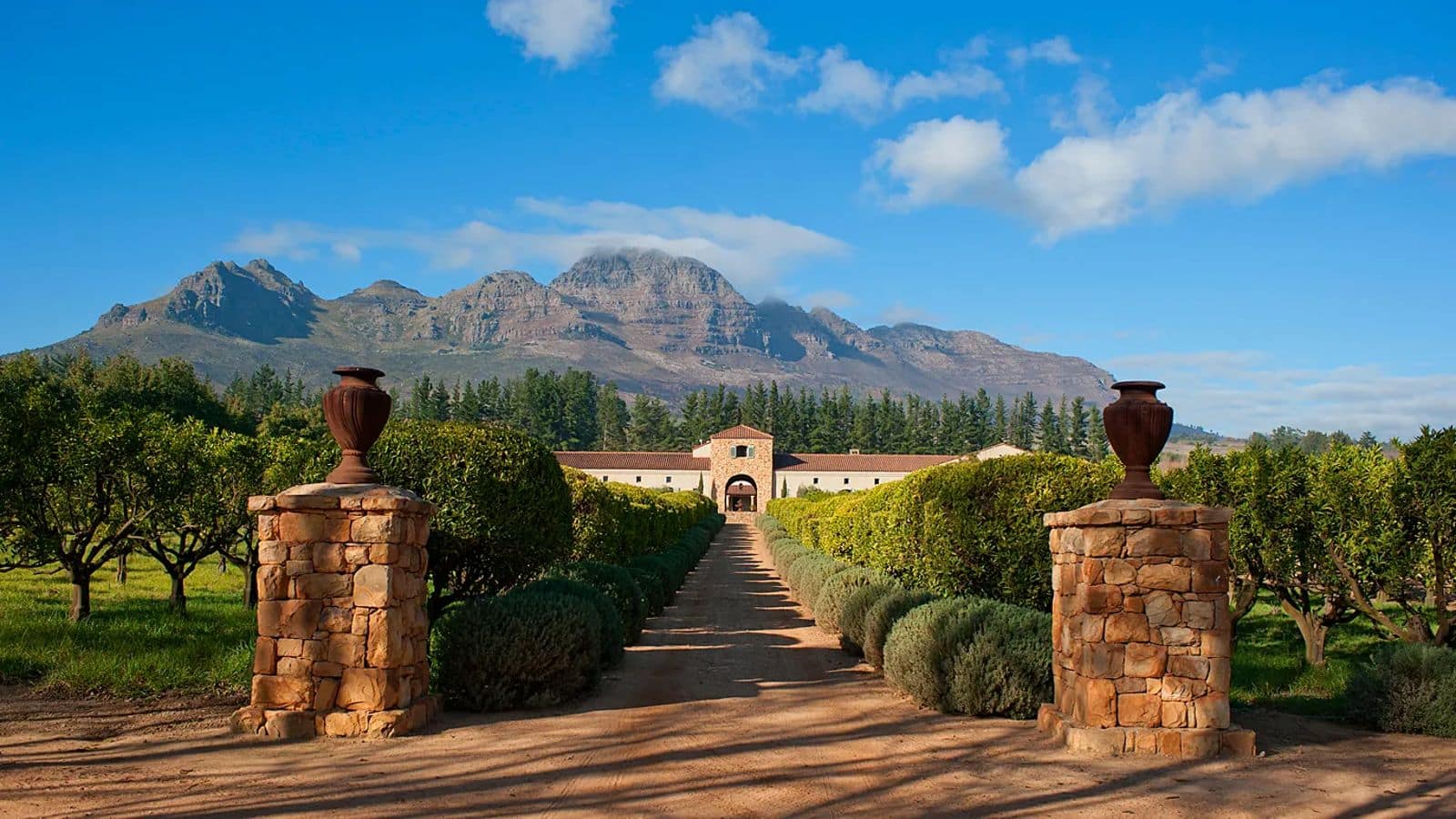 Head over to Cape Town's wine country escapes