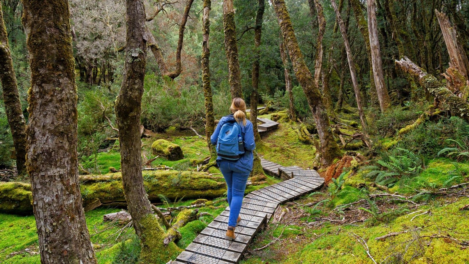 Trekking Tasmania's Cradle Mountain: How to plan, best visiting time