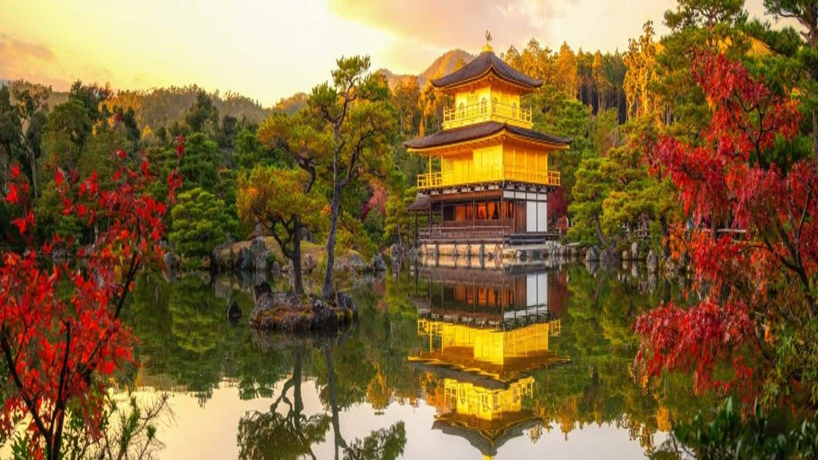 A guide to Kyoto's timeless cultural tapestry
