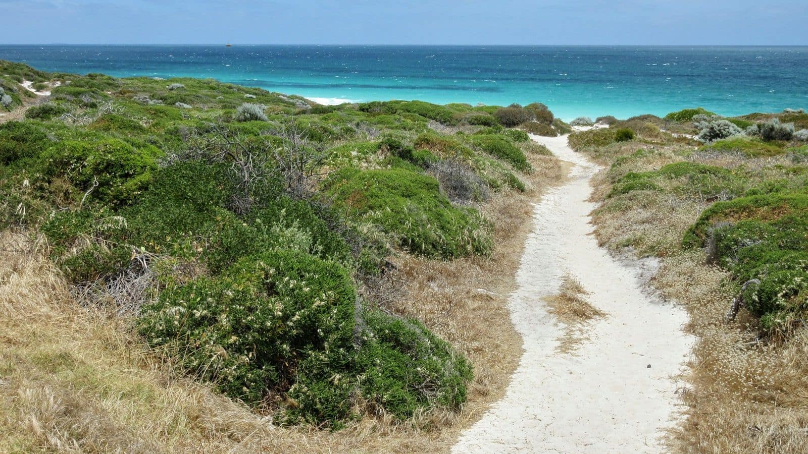 Perth's secluded coastal walks: Tranquil spots for self-reflection
