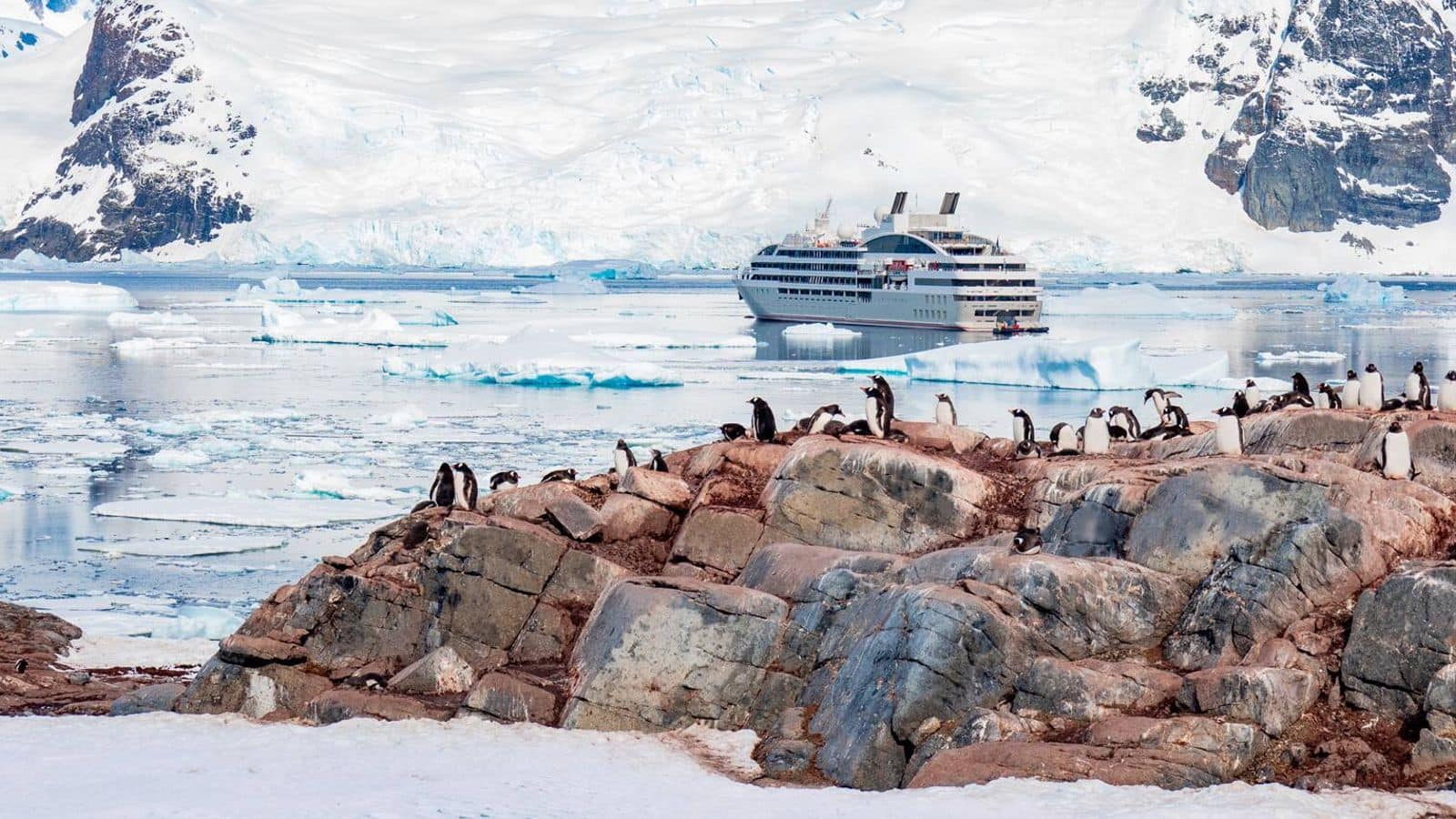 Antarctic expedition cruise: Journey to Earth's final frontier