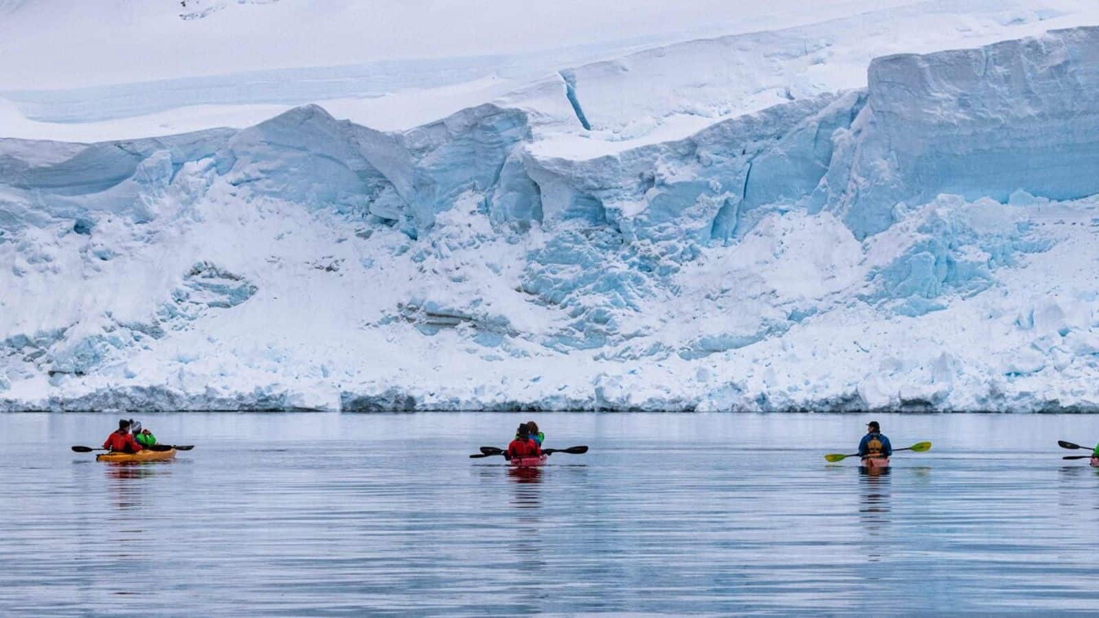 Antarctic expedition cruise: Explore vast glaciers and wilderness