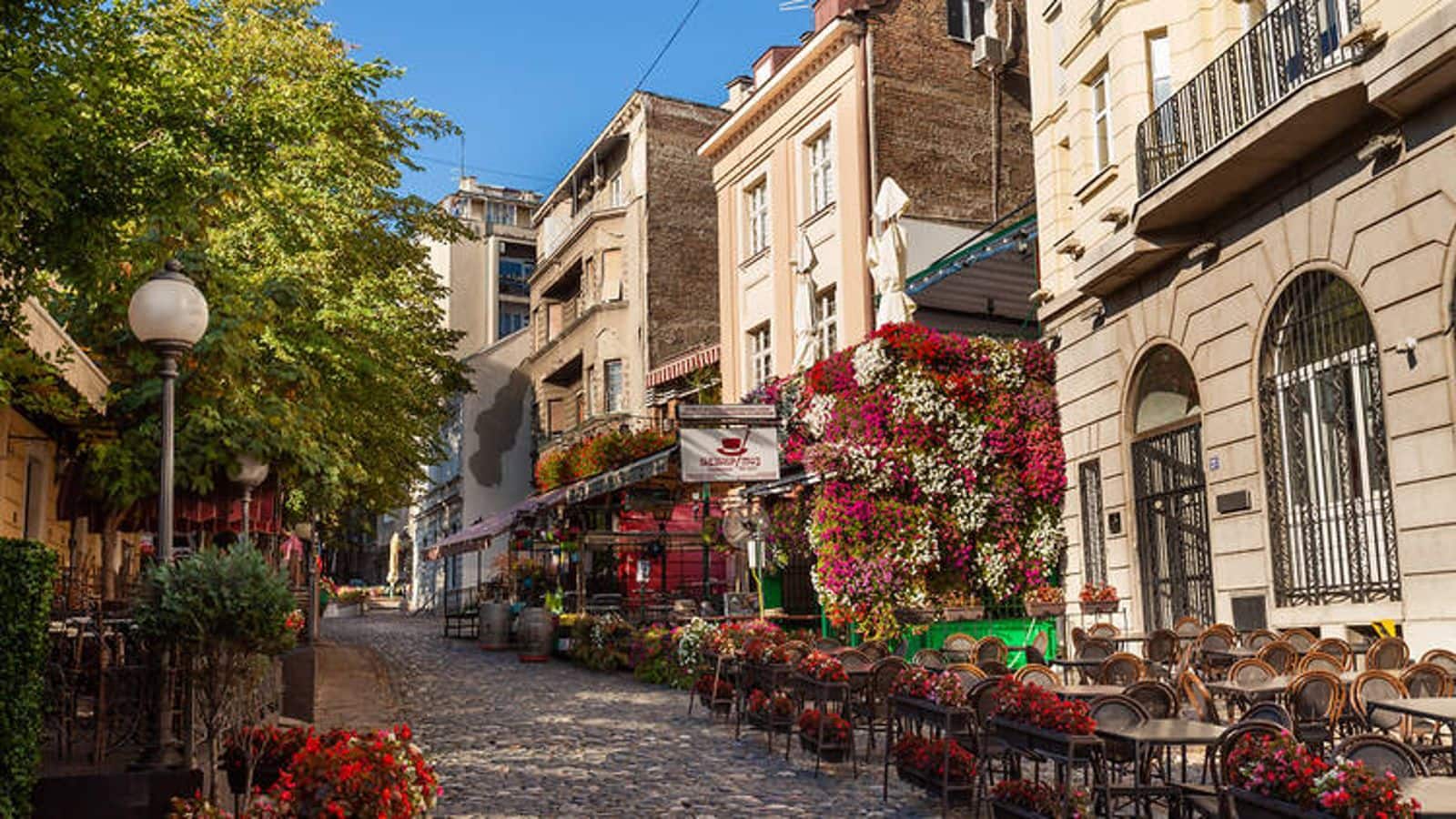 Explore Belgrade's bohemian spirit for an unforgettable trip