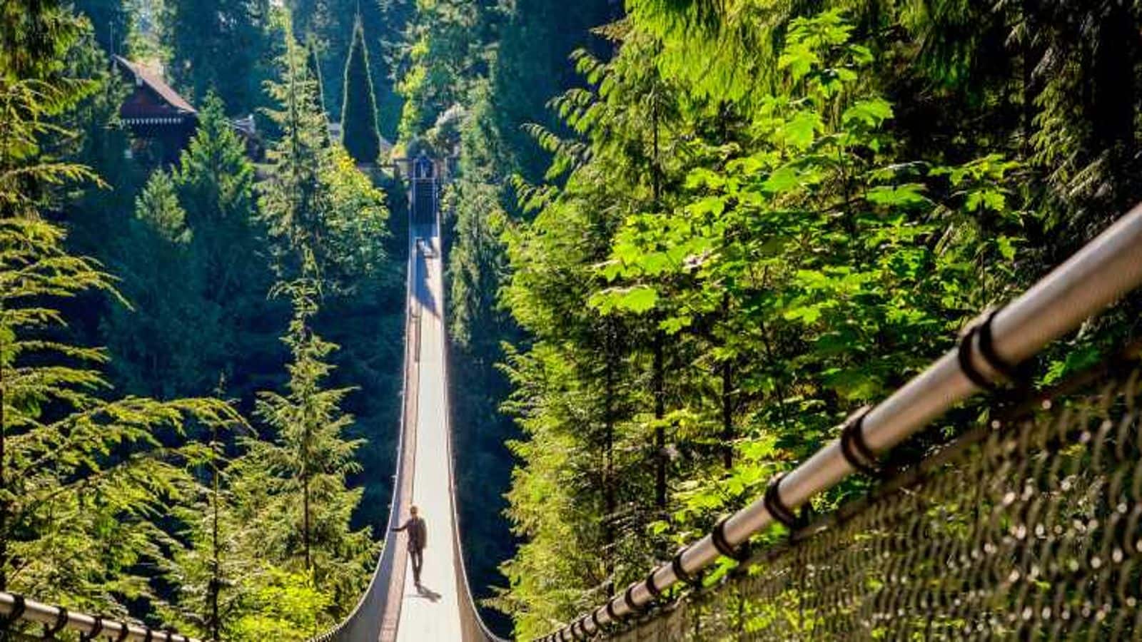 Vancouver's rainforest escapes are perfect for nature lovers